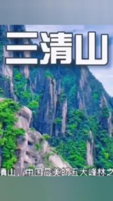 救援卷耳兔