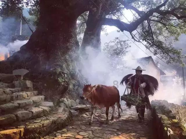 功夫熊猫