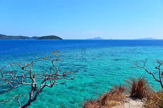 俄罗斯与巴勒斯坦外长强调必须停止加沙流血