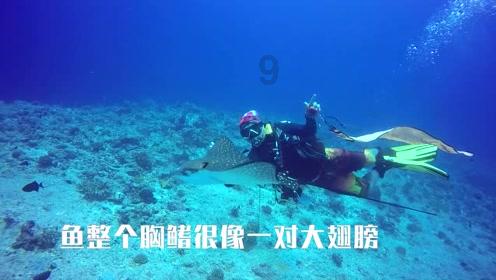 失落之城解密